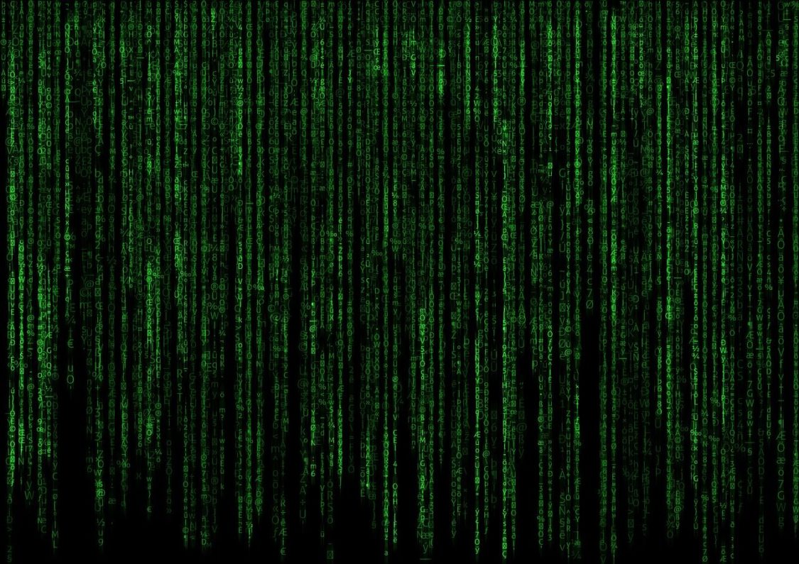 Wie werde ich ein Data Analyst? Deine Schritte zum Erfolg!